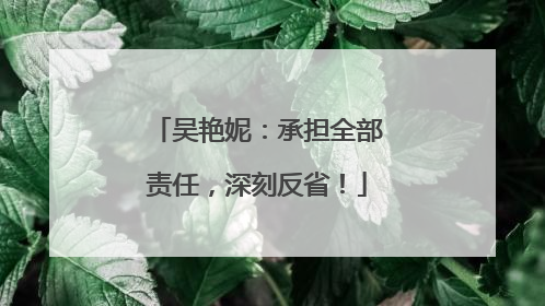 吴艳妮：承担全部责任，深刻反省！
