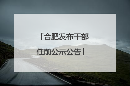 合肥发布干部任前公示公告