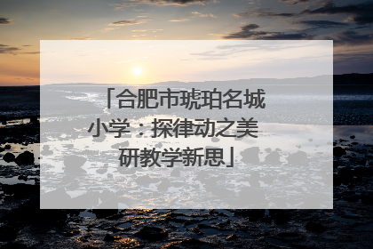 合肥市琥珀名城小学：探律动之美 研教学新思