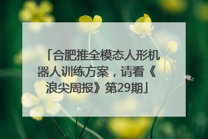 合肥推全模态人形机器人训练方案，请看《浪尖周报》第29期