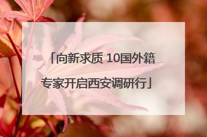 向新求质 10国外籍专家开启西安调研行