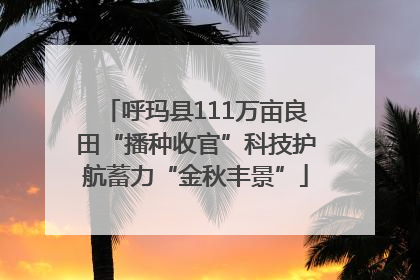 呼玛县111万亩良田“播种收官”科技护航蓄力“金秋丰景”