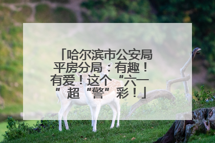 哈尔滨市公安局平房分局：有趣！有爱！这个“六一”超“警”彩！
