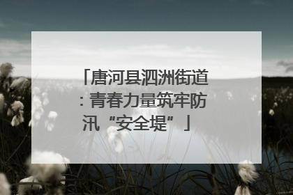 唐河县泗洲街道：青春力量筑牢防汛“安全堤”