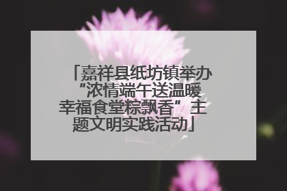 嘉祥县纸坊镇举办“浓情端午送温暖 幸福食堂粽飘香”主题文明实践活动