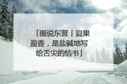 图说东营丨夏果盈香，是盐碱地写给舌尖的情书