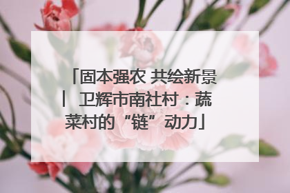 固本强农 共绘新景 ︳卫辉市南社村：蔬菜村的“链”动力