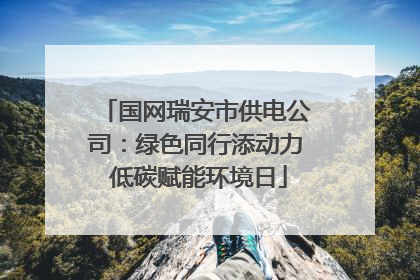 国网瑞安市供电公司：绿色同行添动力 低碳赋能环境日