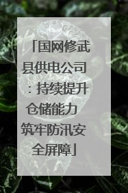 国网修武县供电公司：持续提升仓储能力 筑牢防汛安全屏障