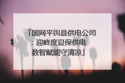 国网平舆县供电公司：迎峰度夏保供电  数智赋能守清凉
