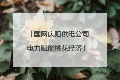 国网庆阳供电公司电力赋能桃花经济