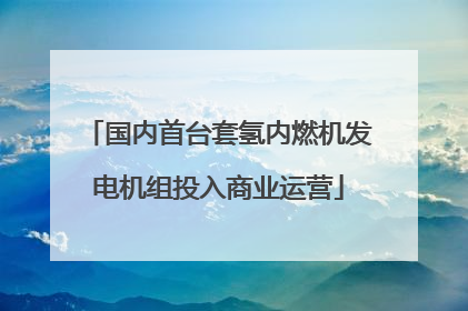 国内首台套氢内燃机发电机组投入商业运营