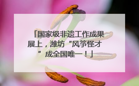 国家级非遗工作成果展上，潍坊“风筝怪才”成全国唯一！