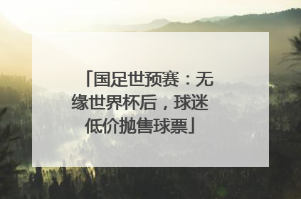 国足世预赛：无缘世界杯后，球迷低价抛售球票