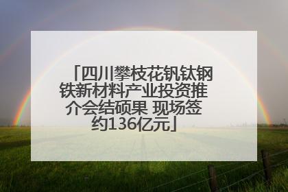 四川攀枝花钒钛钢铁新材料产业投资推介会结硕果 现场签约136亿元