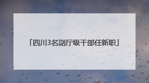 四川3名副厅级干部任新职