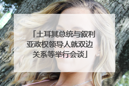 土耳其总统与叙利亚政权领导人就双边关系等举行会谈