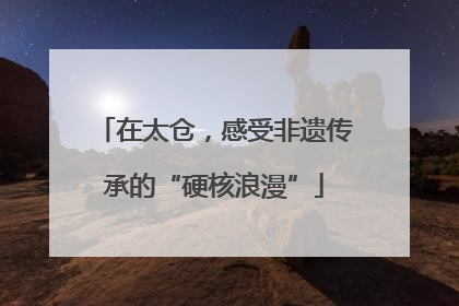 在太仓，感受非遗传承的“硬核浪漫”