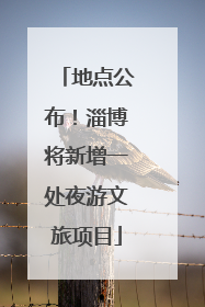 地点公布！淄博将新增一处夜游文旅项目