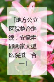 地方公立医院整合继续：安徽霍邱两家大型医院拟二合一