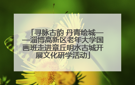 寻脉古韵 丹青绘城——淄博高新区老年大学国画班走进章丘明水古城开展文化研学活动