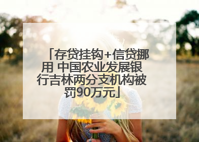 存贷挂钩+信贷挪用 中国农业发展银行吉林两分支机构被罚90万元