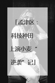 孟津区：科技种田 上演小麦“逆袭”记