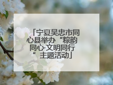 宁夏吴忠市同心县举办“粽韵同心·文明同行”主题活动