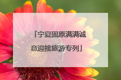 宁夏固原满满诚意迎接旅游专列