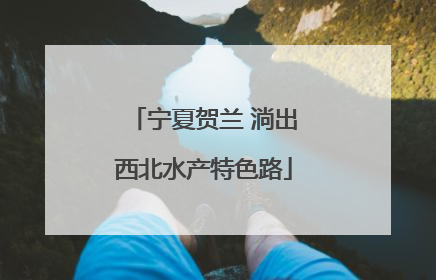 宁夏贺兰 淌出西北水产特色路