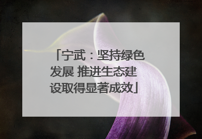 宁武：坚持绿色发展 推进生态建设取得显著成效