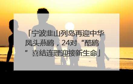 宁波韭山列岛再迎中华凤头燕鸥，24对“酷鸥”喜结连理迎接新生命