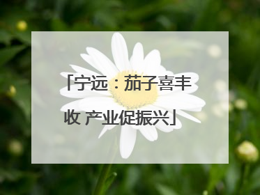 宁远：茄子喜丰收 产业促振兴