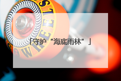守护“海底雨林”