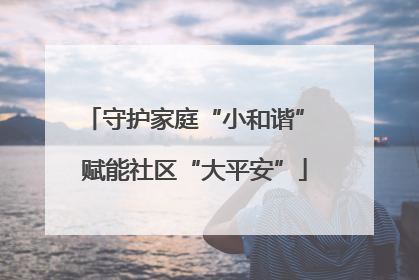 守护家庭“小和谐” 赋能社区“大平安”