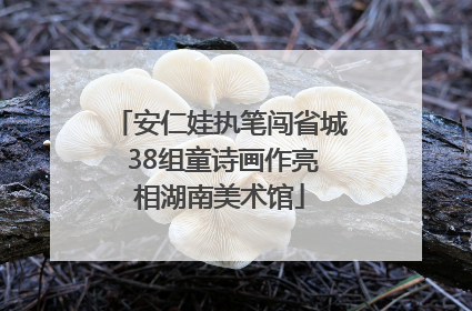 安仁娃执笔闯省城 38组童诗画作亮相湖南美术馆