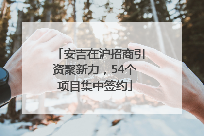 安吉在沪招商引资聚新力，54个项目集中签约