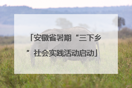 安徽省暑期“三下乡”社会实践活动启动