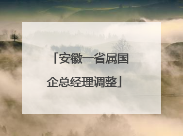 安徽一省属国企总经理调整