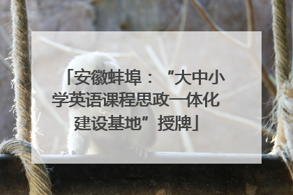 安徽蚌埠：“大中小学英语课程思政一体化建设基地”授牌