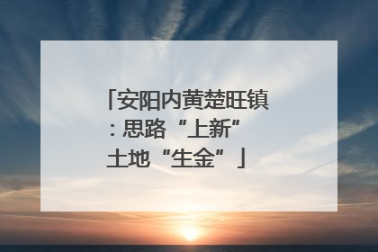 安阳内黄楚旺镇：思路“上新” 土地“生金”
