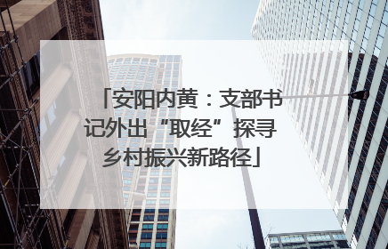 安阳内黄：支部书记外出“取经”探寻乡村振兴新路径