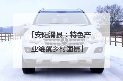 安阳滑县：特色产业绘就乡村图景