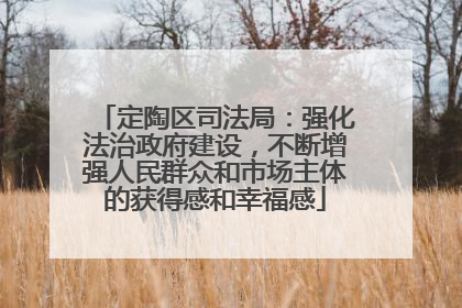 定陶区司法局：强化法治政府建设，不断增强人民群众和市场主体的获得感和幸福感