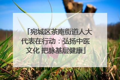 宛城区茶庵街道人大代表在行动：弘扬中医文化 把脉基层健康