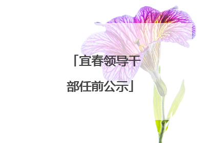 宜春领导干部任前公示