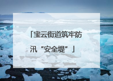 宝云街道筑牢防汛“安全堤”