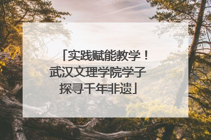 实践赋能教学！武汉文理学院学子探寻千年非遗
