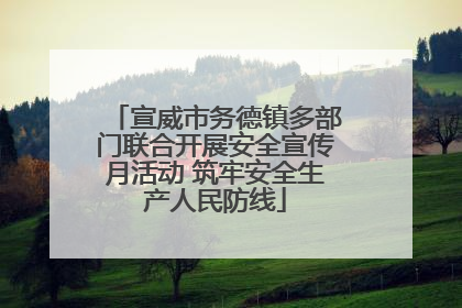 宣威市务德镇多部门联合开展安全宣传月活动 筑牢安全生产人民防线