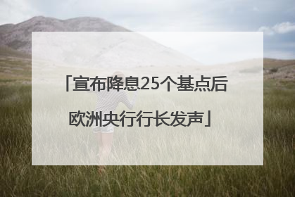 宣布降息25个基点后 欧洲央行行长发声
